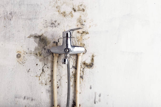 Best Mold Cleaning Services  in Lufkin, TX