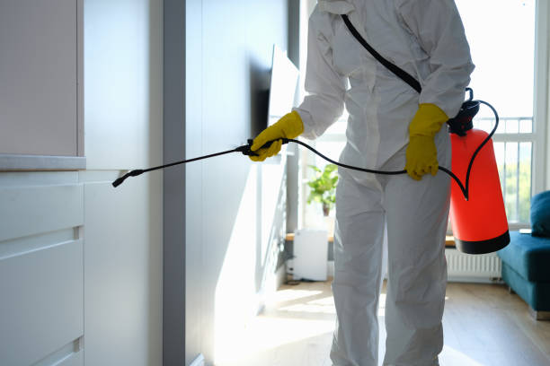 Best Mold Testing and Removal  in Lufkin, TX