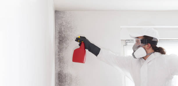 Best Residential Mold Removal  in Lufkin, TX